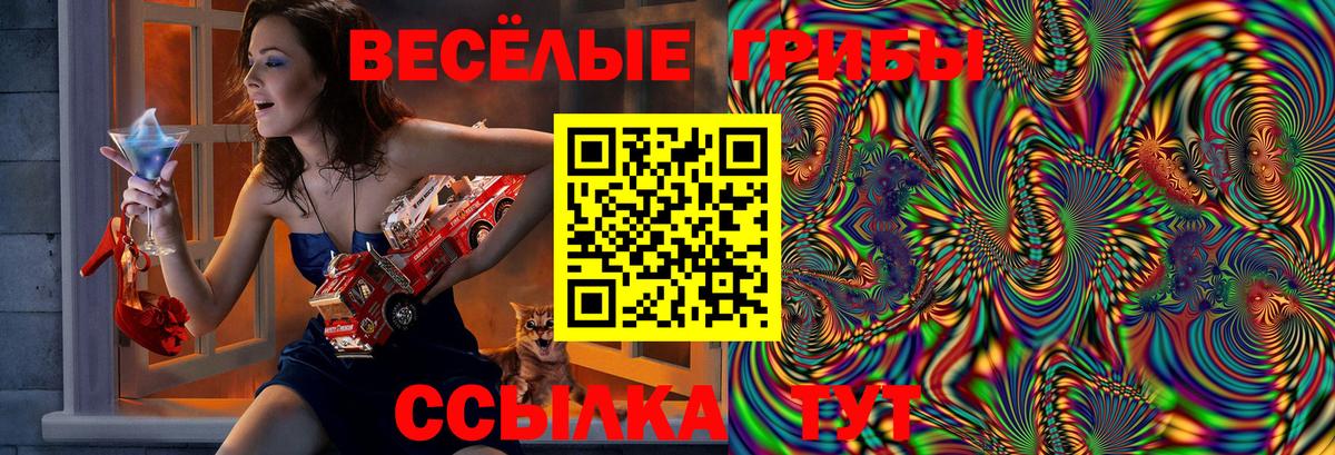 Кубинка  Псилоцибиновые грибы MAGIC MUSHROOMS  как найти закладки  Вход с VPN 